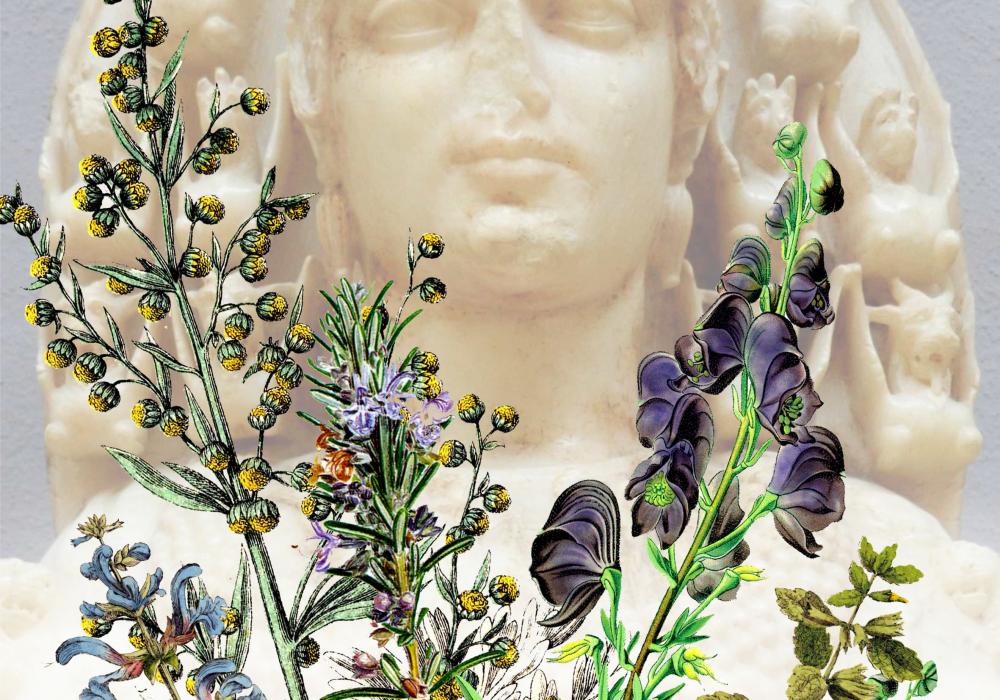 Impulsseminar_Stuermer_götter-göttinen-kräute